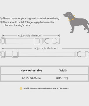 Gepersonaliseerde Kattenhalsband met Gravure, Bel & Reflecterend - Veilig & Stijlvol