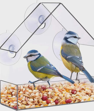 Acryl Vogelhuisje Voederhuisje voor Ramen met Zuignap - Buiten Tuin Vogelvoer Station