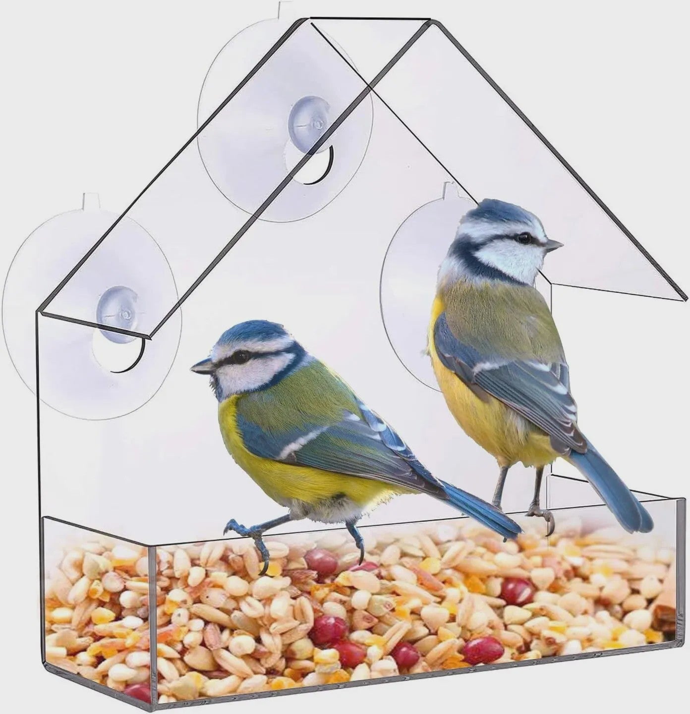 Acryl Vogelhuisje Voederhuisje voor Ramen met Zuignap - Buiten Tuin Vogelvoer Station