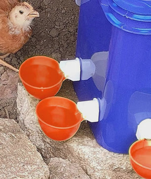 Automatische Kippen Drinkbak 10L met 8 Voerbakjes - Zelfvullend