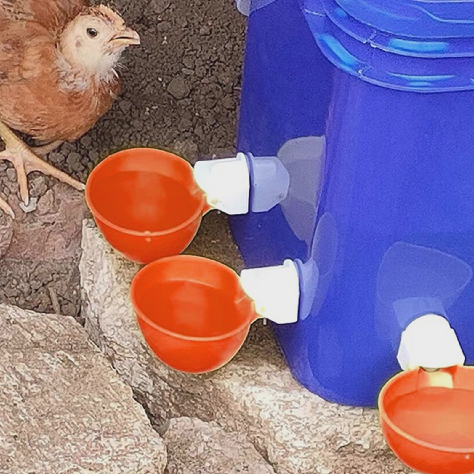 Automatische Kippen Drinkbak 10L met 8 Voerbakjes - Zelfvullend