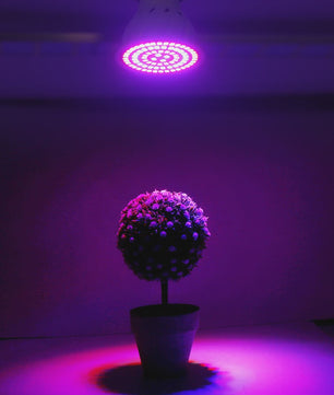 Full Spectrum LED Groeilamp E27 80 LEDs - Plantenlamp voor Binnenkweek