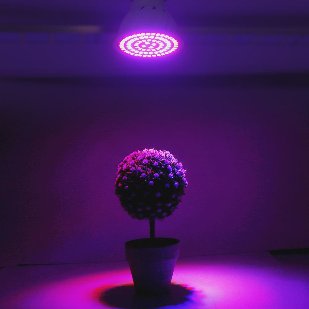 Full Spectrum LED Groeilamp E27 80 LEDs - Plantenlamp voor Binnenkweek