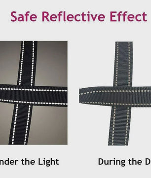 Veilige Hondentuig & Lijn Set met Nachtreflectie - Padded Handvat