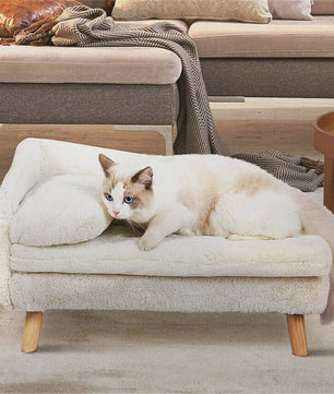 Luxe Verhoogd Hondensofa Bed met Rugleuning & Pluche Kussen - Stijlvolle Lounger voor Kleine/Middelgrote Honden & Katten