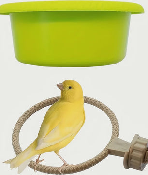 Vogelbadje met Ophangring - Groen Plastic Kom - 12cm Diameter