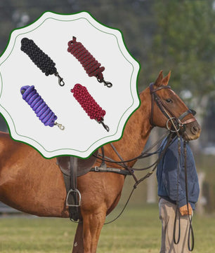 Flexibel Paardrijtouw 250cm Nylon Longeerlijn voor Training en Stalaccessoires
