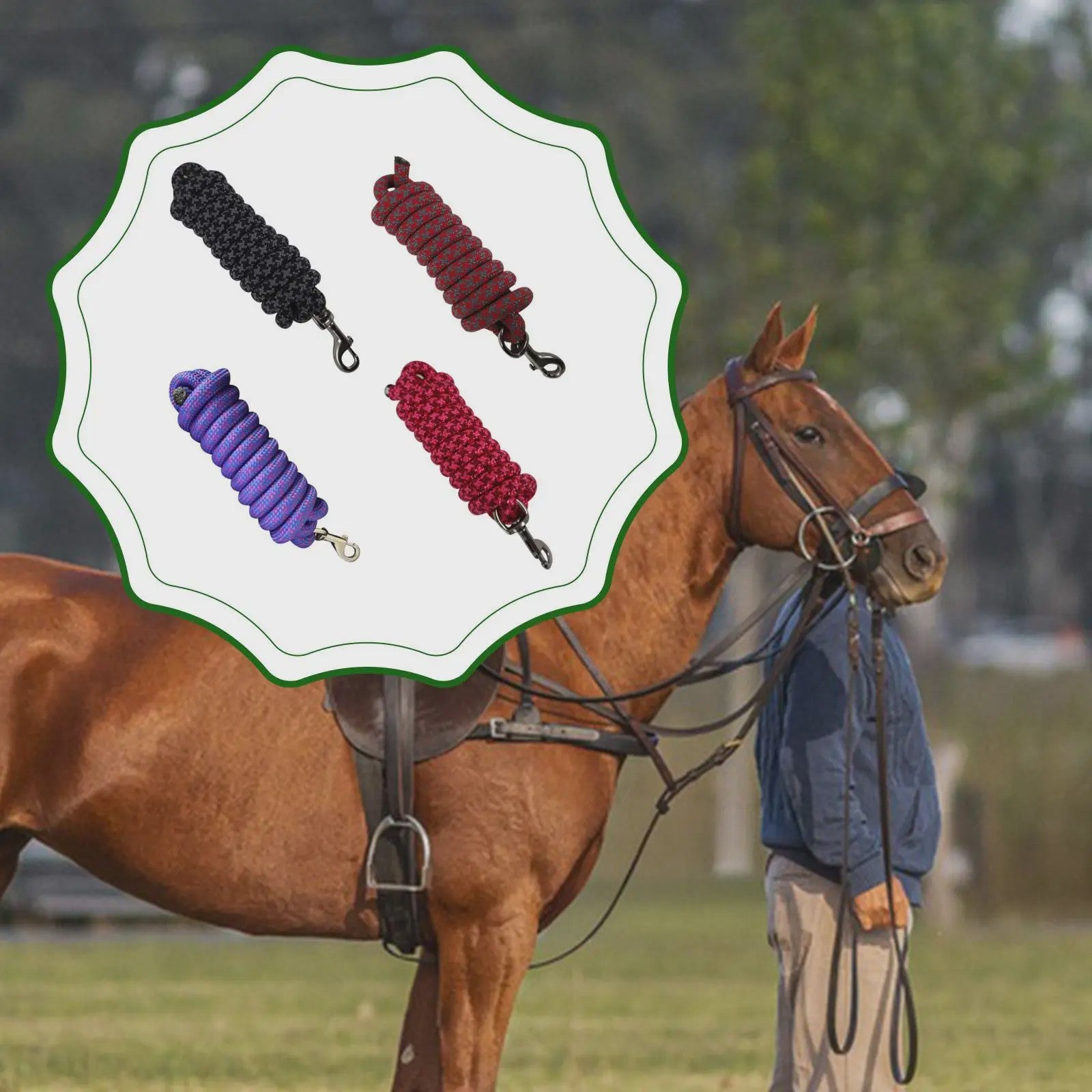 Flexibel Paardrijtouw 250cm Nylon Longeerlijn voor Training en Stalaccessoires