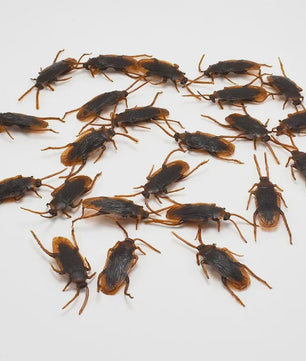 Nep Insecten Set: 50x Kakkerlakken, Duizendpoten & Schorpioenen - Griezelige Props voor Feestjes & Halloween