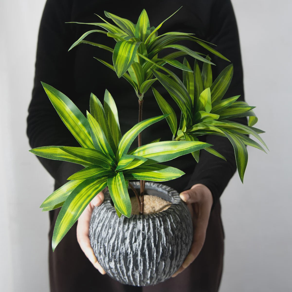 Kunstplant 36cm met 3 Bamboe-achtige Takken - Tropische Decoratie