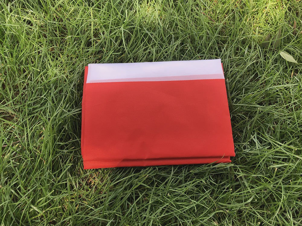 Hoge Kwaliteit Deense Vlag 90x150cm - Polyester Vlag van Denemarken