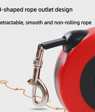Automatische Intrekbare Hondentuig 3m/5m Nylon Lijn voor Kleine Honden en Katten