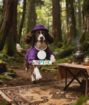 Bluetooth GPS Tracker Sleutelvinder - Compatibel met iPhone Find My App - Anti-verlies Alarm
