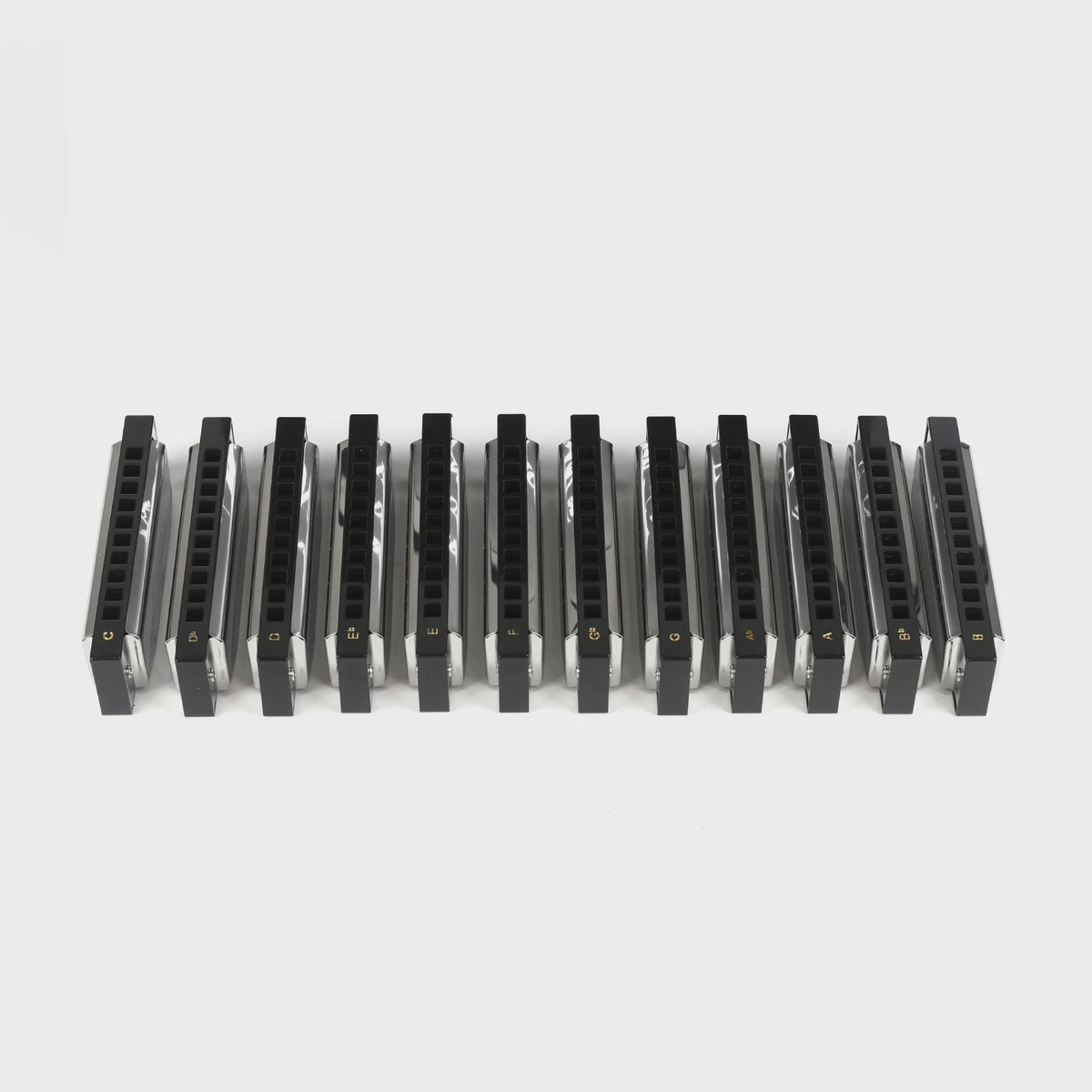 Professionele Diatonische Blues Harmonica - 10 Gaten, 20 Tonen, Inclusief Koffer
