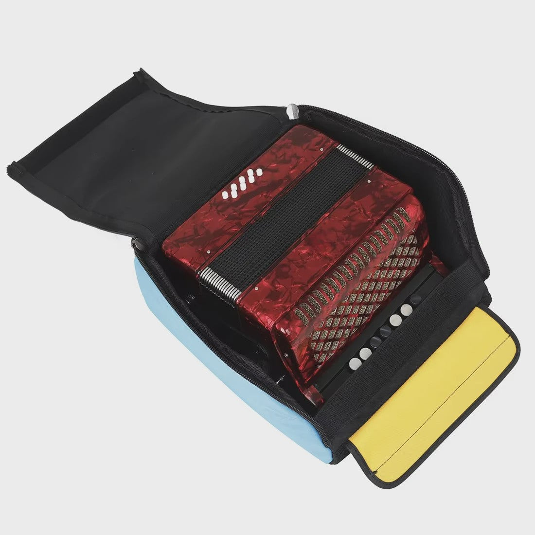 Professionele 22-Toets 8-Bas Accordeon voor Beginners en Gevorderden