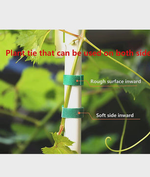 3 Rollen Groene Plantentape - Flexibele Nylon Plantenband voor Tuinondersteuning
