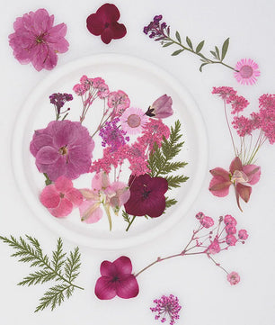 30 Stuks Gedroogde Persbloemen - Natuurlijke Bloemen & Bladeren voor Resin Art, Knutselen en Decoratie
