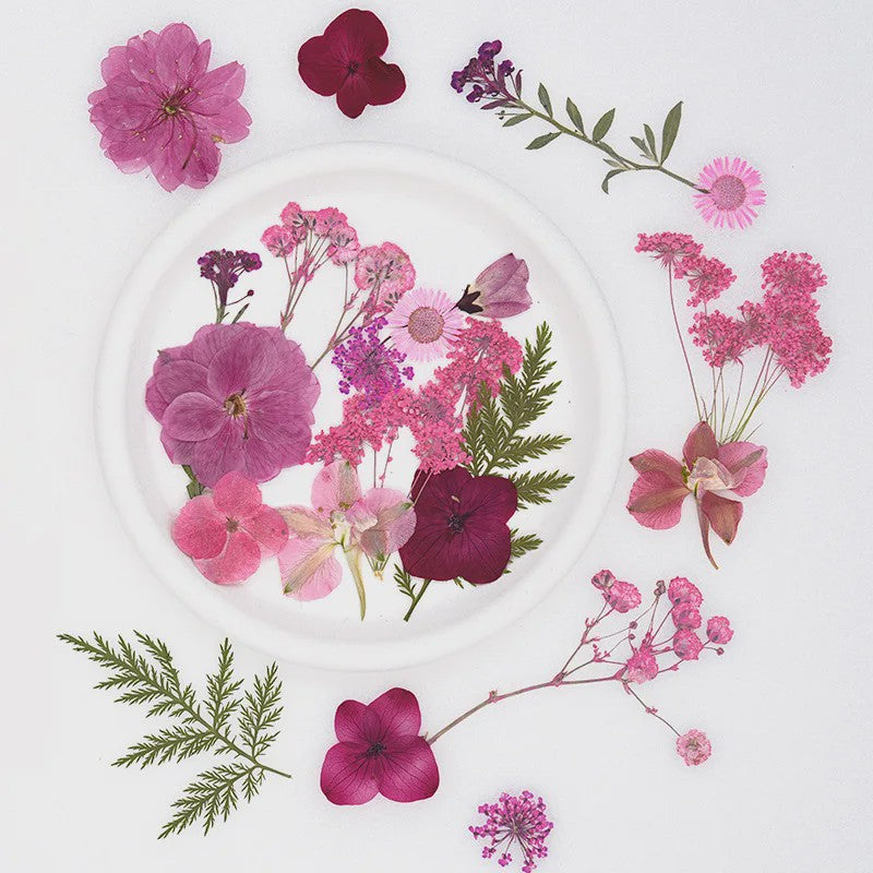 30 Stuks Gedroogde Persbloemen - Natuurlijke Bloemen & Bladeren voor Resin Art, Knutselen en Decoratie