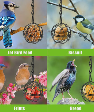 Set van 4 Metalen Vogelvoer Bollen Houders met Ketting - Eekhoornbestendig
