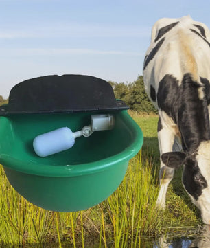 Automatische Drinkbak voor Vee - Duurzaam en Hygiënisch