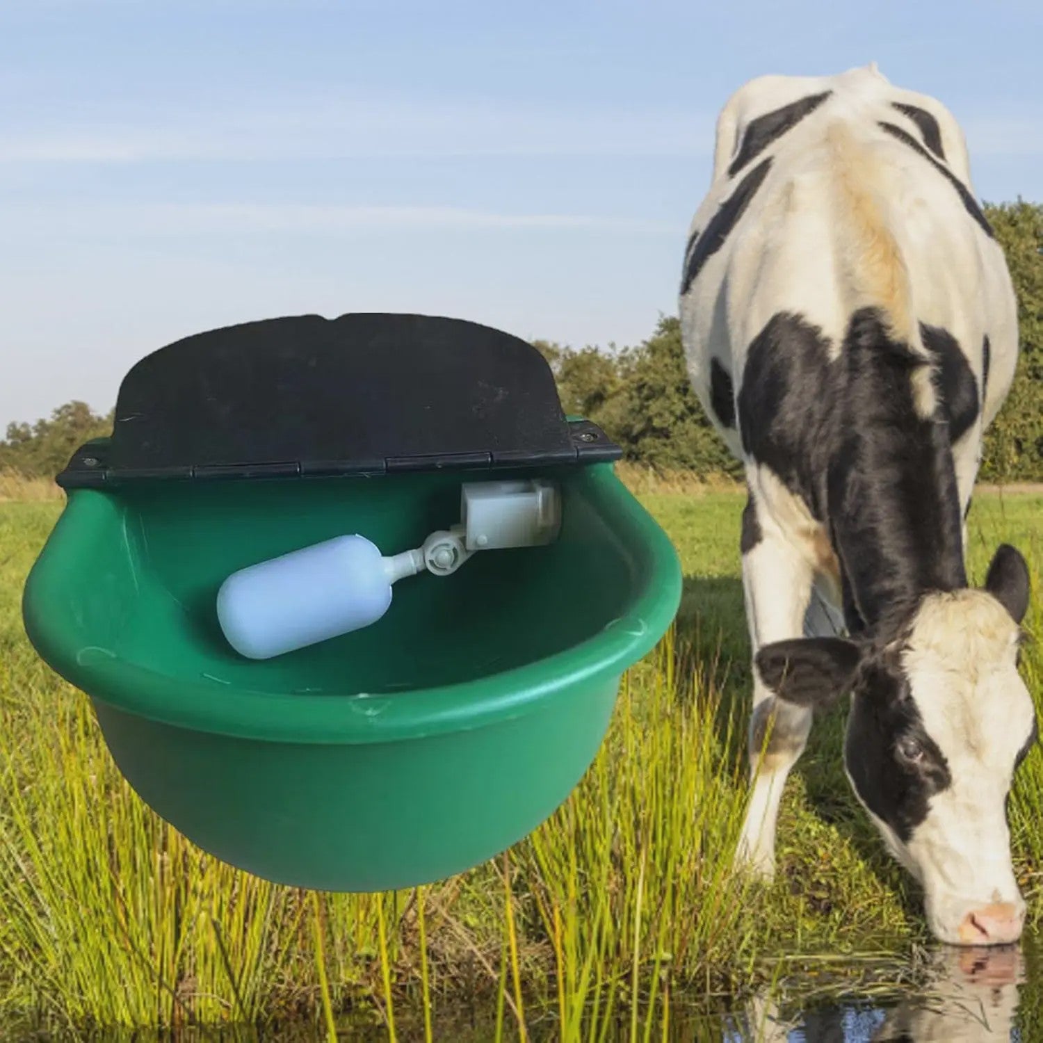 Automatische Drinkbak voor Vee - Duurzaam en Hygiënisch
