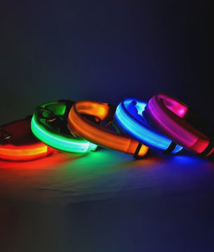 LED Hondenhalsband - Oplaadbaar en Verstelbaar voor Maximale Zichtbaarheid in het Donker