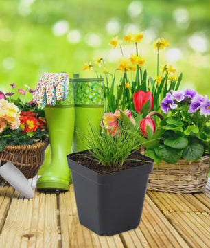 50 Stuks Vierkante Plastic Kweekpotjes voor Zaailingen en Planten