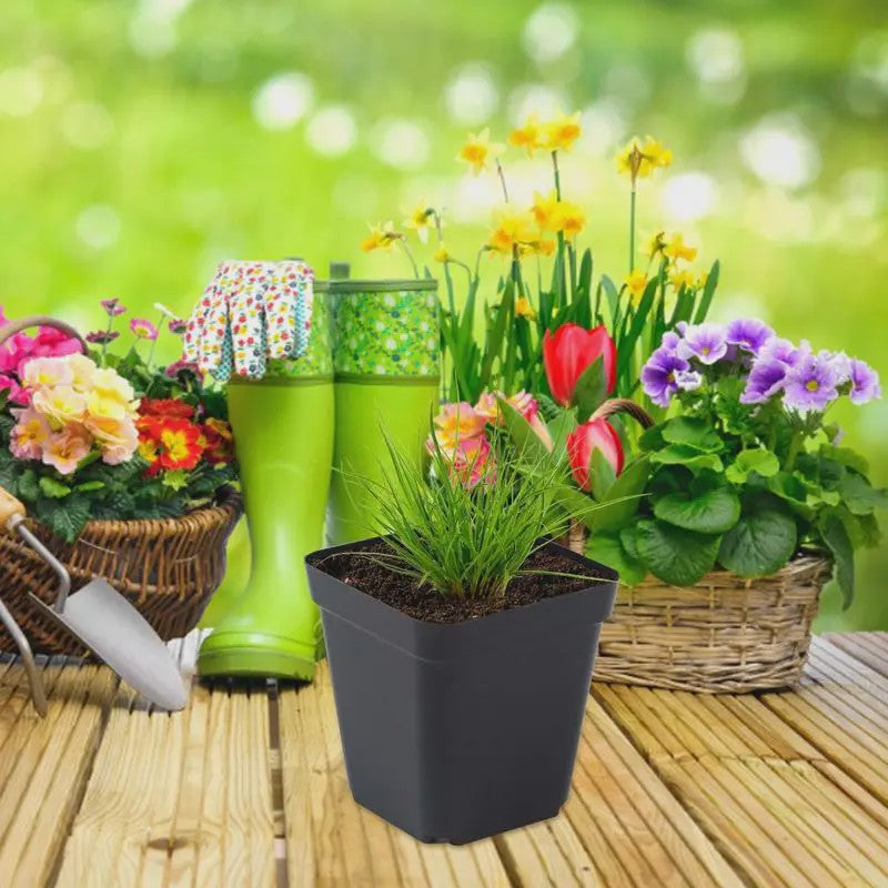 50 Stuks Vierkante Plastic Kweekpotjes voor Zaailingen en Planten