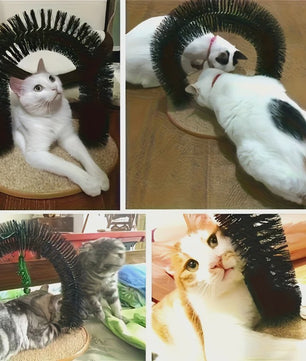 Zelfverzorgende Kattenborstel - Arched Groomer met Massager voor Vachtverzorging