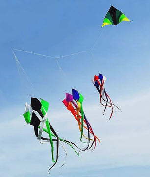 Grote 6 Meter 3D Regenboog Vlieger - Krachtige Outdoor Speelgoed Vlieger voor Plezier