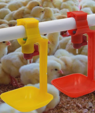 Automatische Kip Drinkbakjes - Set van 10/20 Stuks - Kippen Drinkbak met Nippel