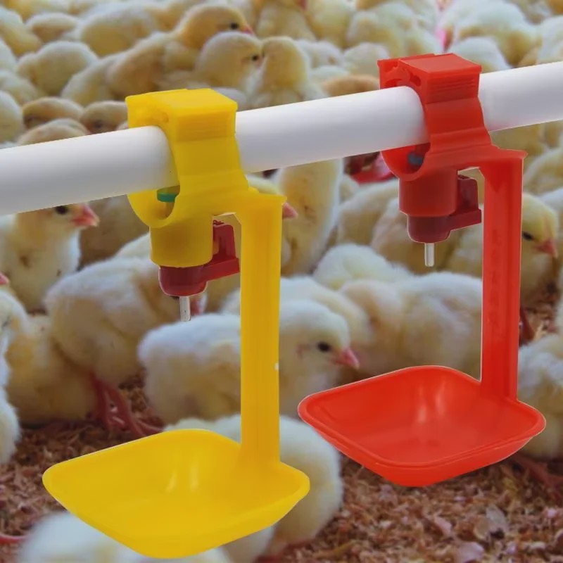 Automatische Kip Drinkbakjes - Set van 10/20 Stuks - Kippen Drinkbak met Nippel