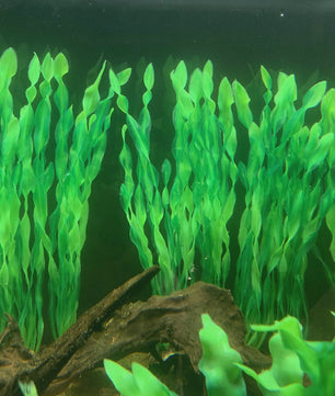 Set van 10 Kunststof Aquariumplanten - Levendige Decoratie voor Vistank