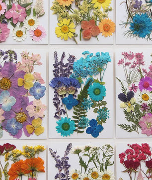 Set Gedroogde Bloemen & Bladeren (16-19 Stuks) - Natuurlijk & Realistisch