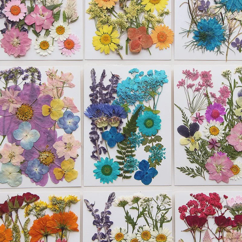 Set Gedroogde Bloemen & Bladeren (16-19 Stuks) - Natuurlijk & Realistisch