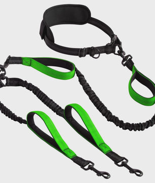 Verstelbare Dubbele Hondenriem met Schokdemper voor Handsfree Lopen en Trainen