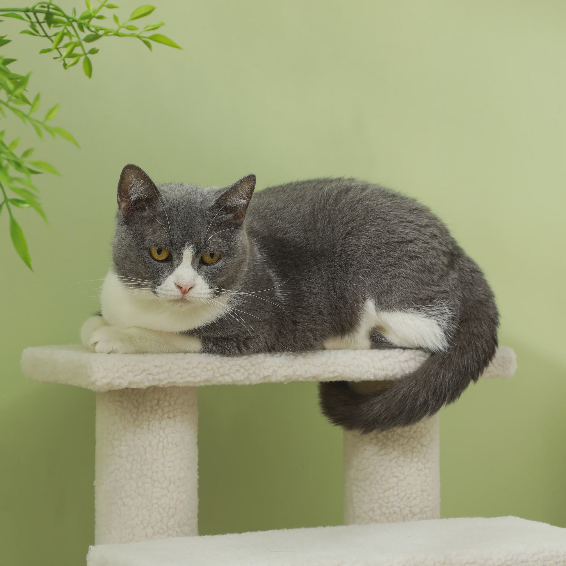 4-Taps Huisdier Trappetje - Comfortabele Klimhulp voor Katten en Honden