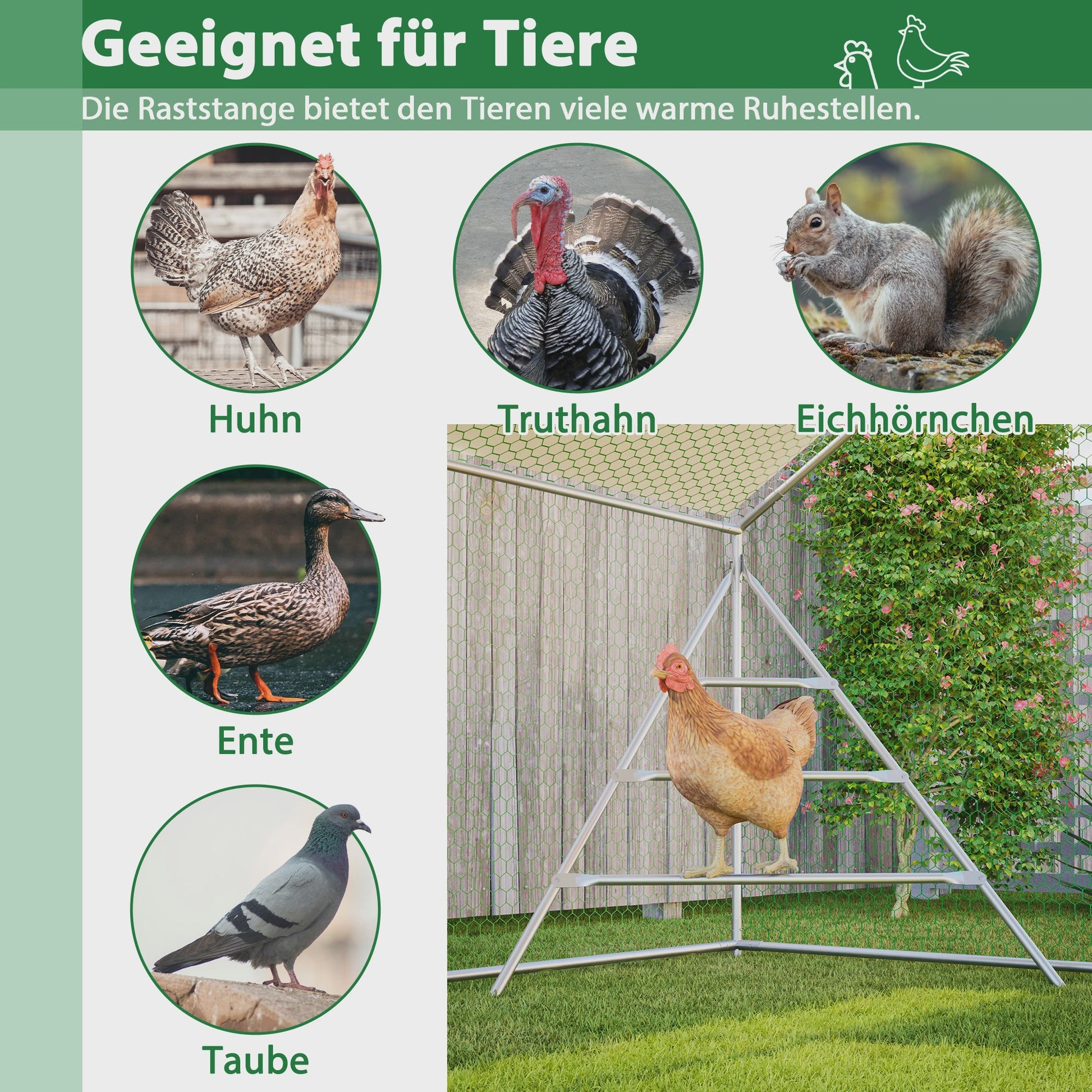 Ruime Kippenhok met Ren 3x2M - Weerbestendig en Veilig