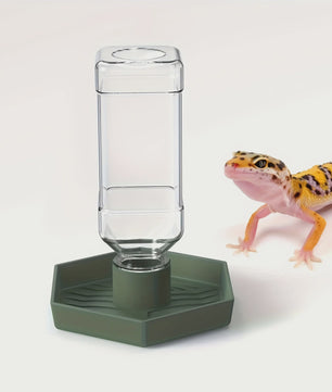 Automatische Reptielen Voerbak en Waterdispenser voor Kleine Hagedissen, Kikkers, Slangen en Schildpadden
