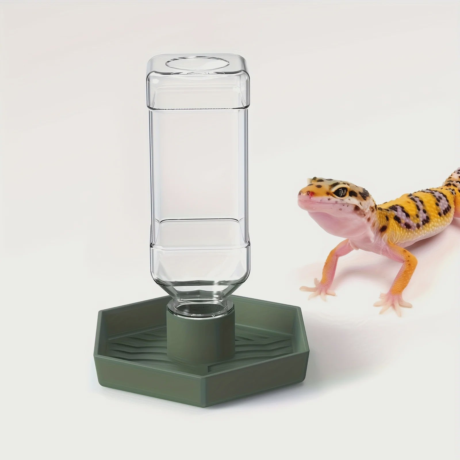 Automatische Reptielen Voerbak en Waterdispenser voor Kleine Hagedissen, Kikkers, Slangen en Schildpadden