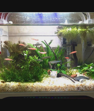 Natuurlijk Kristal Zand 500g - Bodemsubstraat voor Aquarium, Terrarium & Decoratie