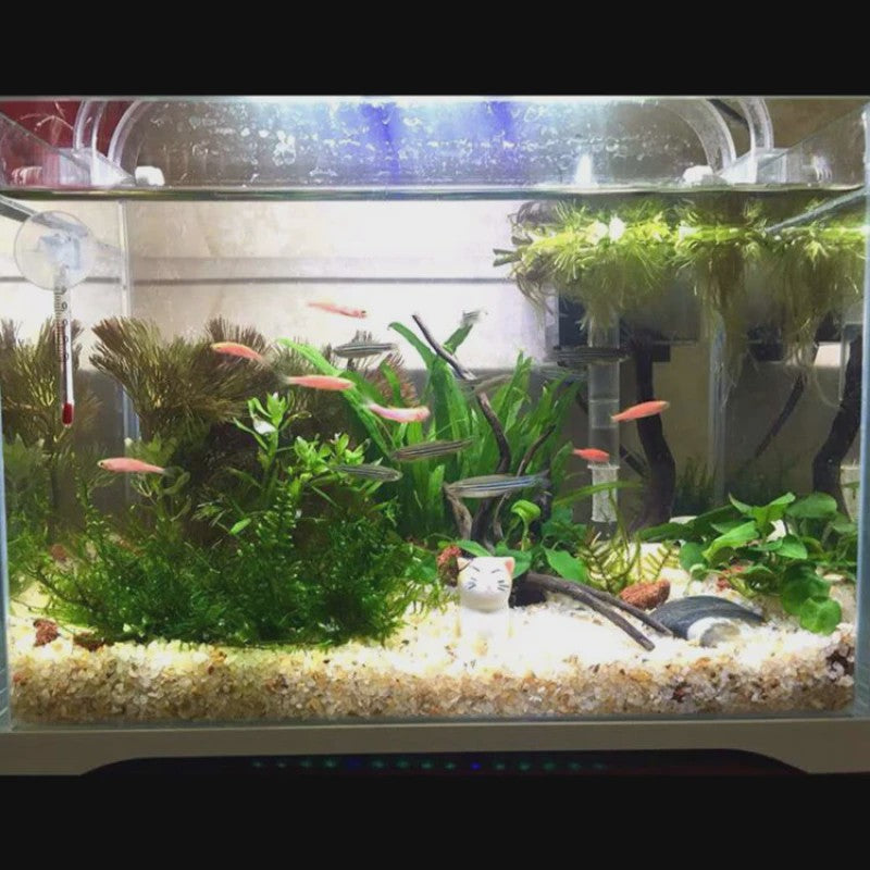 Natuurlijk Kristal Zand 500g - Bodemsubstraat voor Aquarium, Terrarium & Decoratie