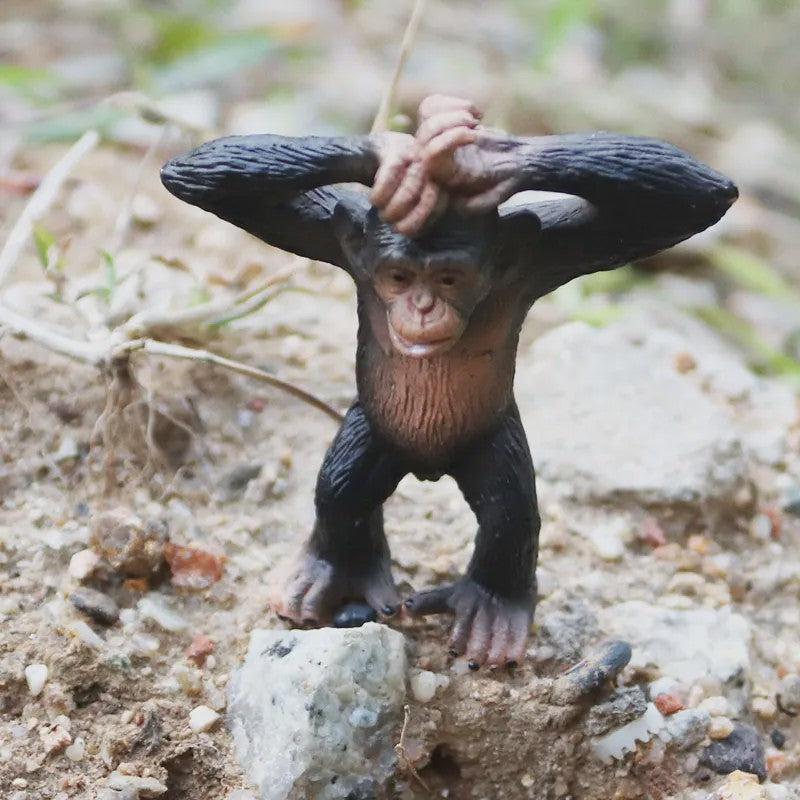 Oenux Wild Animal Speelfiguren: Aap, Chimpansee, Orang-oetan & Gibbon (PVC)