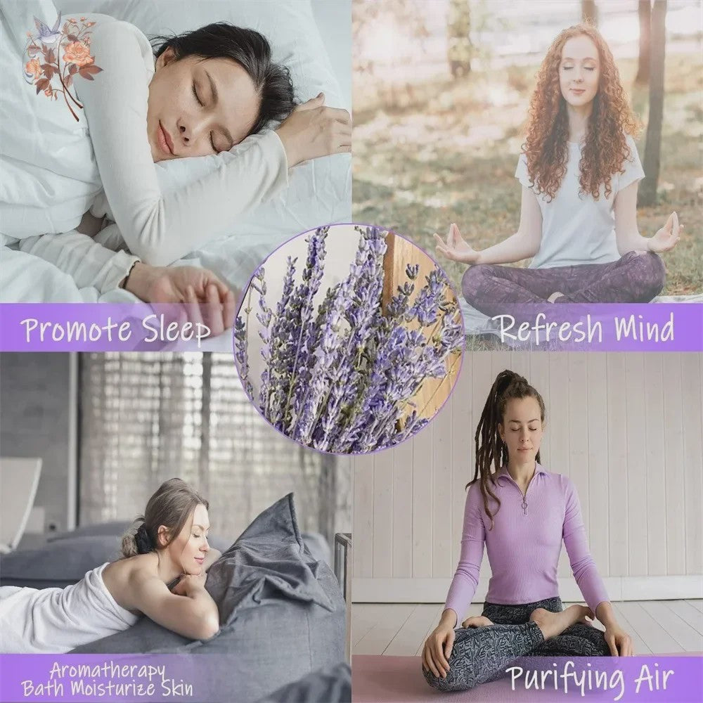 Natuurlijke Gedroogde Lavendel Bundels (50/100 Stuks) - Decoratie & Aromatherapie