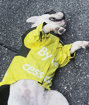 Waterdichte Hondenjas met Capuchon - Reflecterend & Verstelbaar - Voor Kleine tot Grote Honden