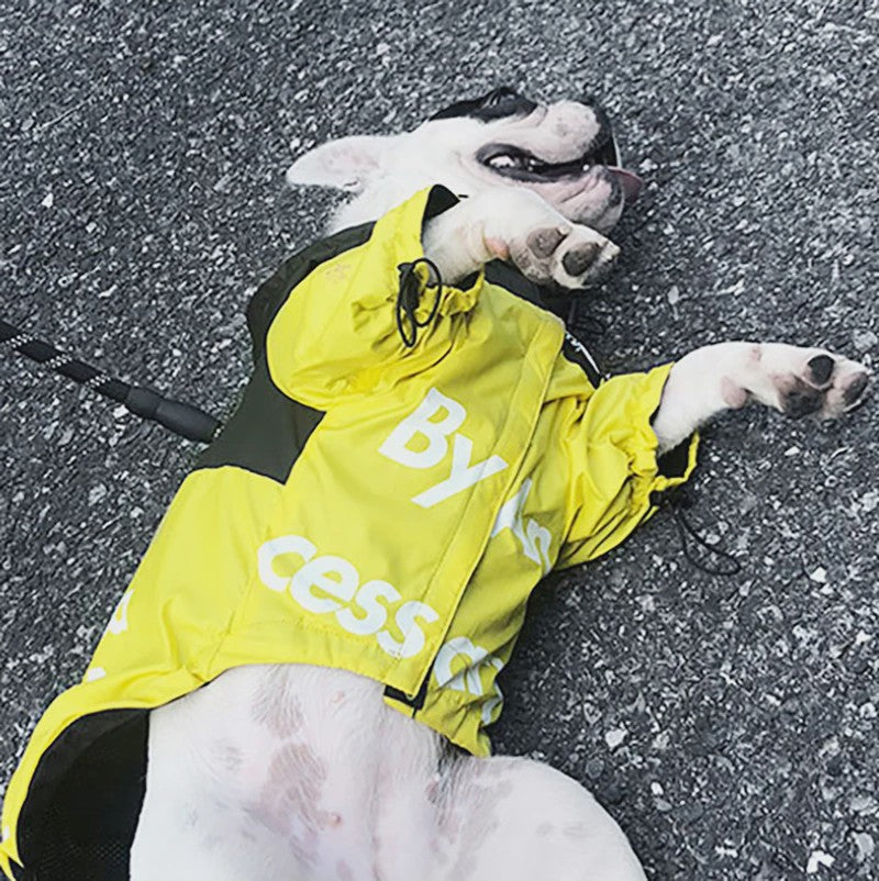 Waterdichte Hondenjas met Capuchon - Reflecterend & Verstelbaar - Voor Kleine tot Grote Honden