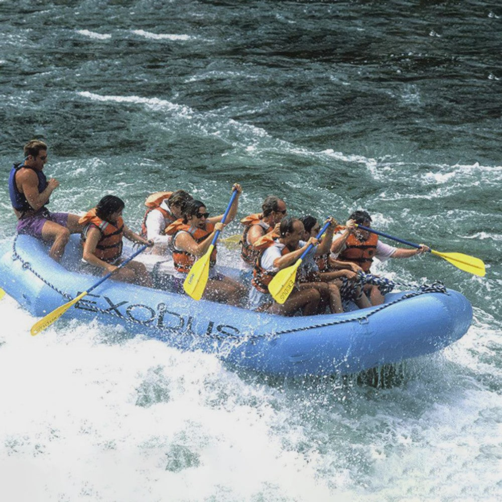 Veiligheidsvest Volwassenen - Reddingsvest voor Watersport, Kajakken, Wakeboarden en Varen