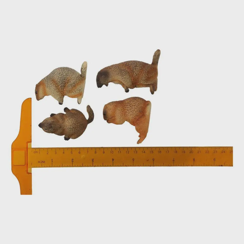 Realistische Marmot Beeldjes - PVC Sierfiguren voor Huisdecoratie