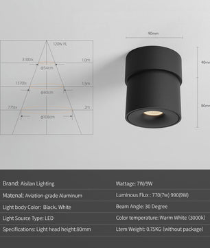 Aisilan LED Plafondspot Draaibaar & Kantelbaar - Oppervlakte Montage - 220V/110V
