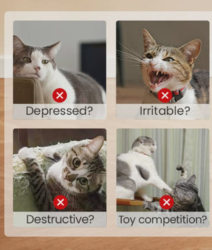 Interactief Vis Speeltje voor Katten met Kattenkruid en Ritselgeluid - Zacht & Duurzaam